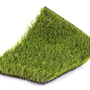 Moss