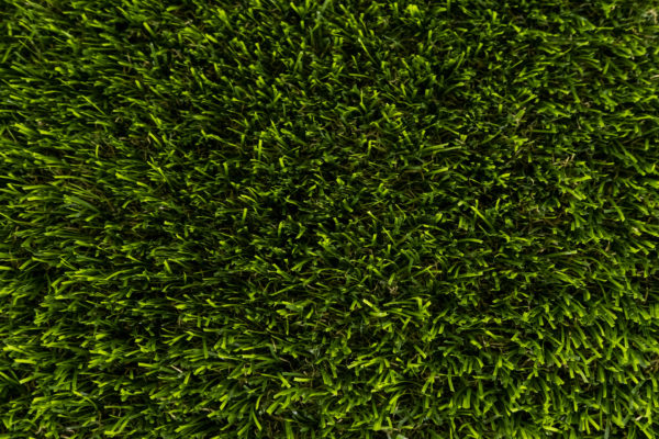 Erath - Image 3